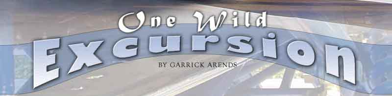 One Wild Excursion