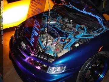 hin-chicago Show Images Page 4