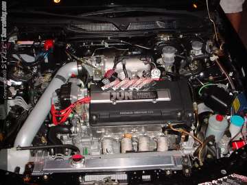 import_mega_show_chicago Show Images Page 1