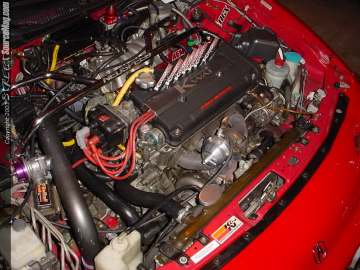 import_mega_show_chicago Show Images Page 1