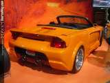 sema Show Images Page 4