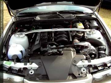 nopi Show Images Page 6