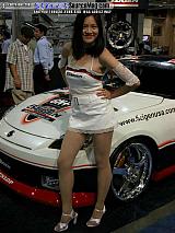sema Show Images Page 25