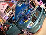 sema Show Images Page 7