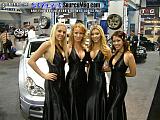 sema Show Images Page 6