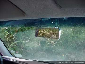 Daily Driven Pleasure