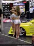 sema Show Images Page 15