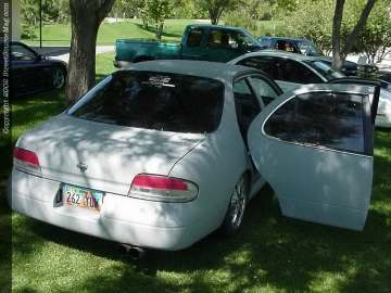 SpringFest Show Images Page 1