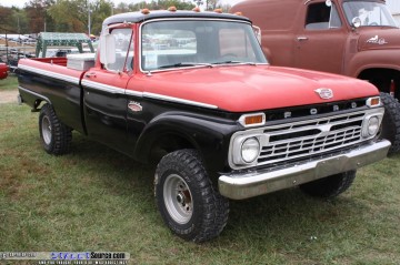 Pumpkin Show Images Page 2