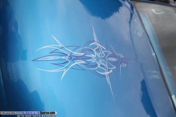 Siknic Show Images Page 2