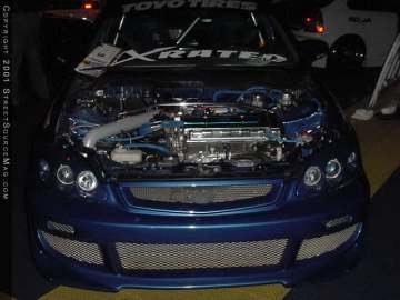 hotimportnights Show Images Page 1