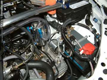 Showoff Show Images Page 4