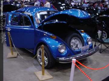 WOWChicago Show Images Page 2