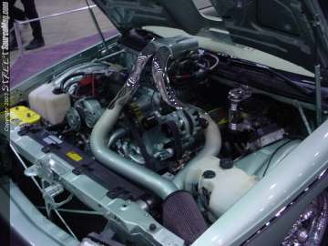 WOWChicago Show Images Page 5