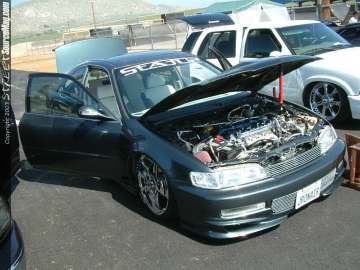 fff Show Images Page 3