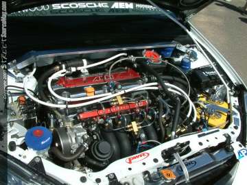 fff Show Images Page 5