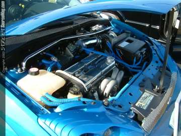 fff Show Images Page 8