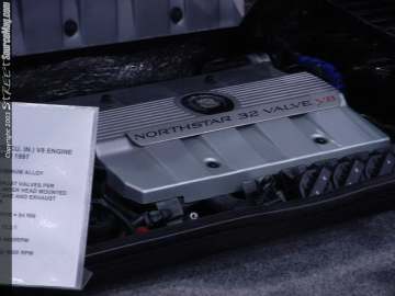 wowchicago Show Images Page 2