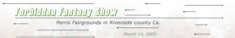 Forbidden Fantasy