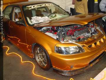 HINdelmar Show Images Page 2