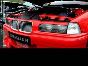 Limerock Show Images Page 2