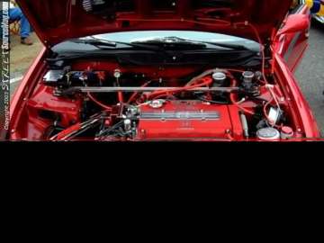 Limerock Show Images Page 4