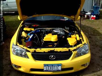 Limerock Show Images Page 4