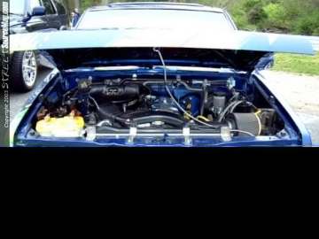 Limerock Show Images Page 5