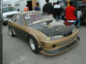 Stylefest Show Images Page 1