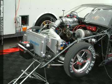 Stylefest Show Images Page 2