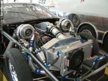 Stylefest Show Images Page 2