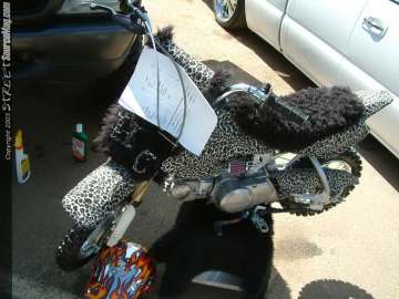 FFF Show Images Page 6