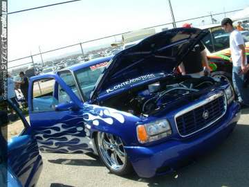 FFF Show Images Page 7