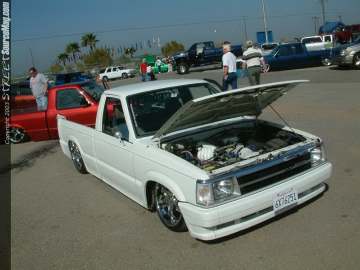 FFF Show Images Page 15