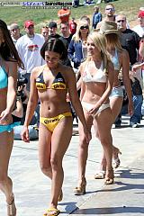 laydout06 Show Images Page 3