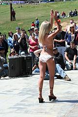 laydout06 Show Images Page 3