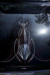 DangerZone Show Images Page 4