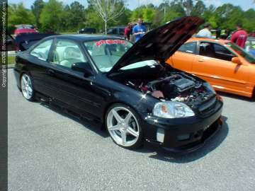 Jacksonville Show Images Page 1