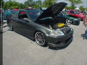 Jacksonville Show Images Page 2