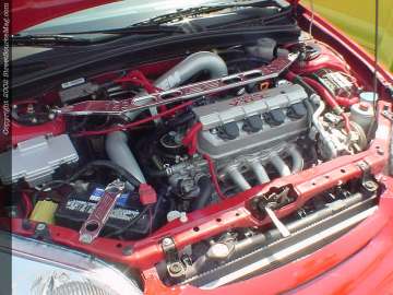 Jacksonville Show Images Page 3