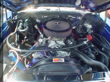 Jacksonville Show Images Page 4