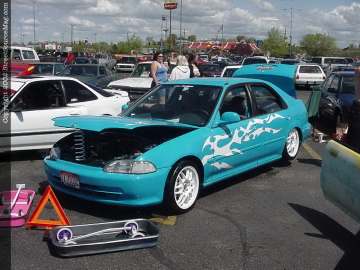 Ontarioshow Show Images Page 1