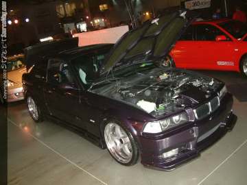 hinseattle Show Images Page 2