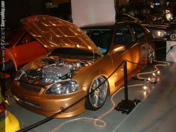 hinseattle Show Images Page 10