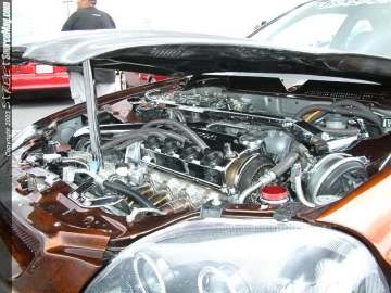 swift Show Images Page 5