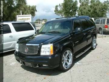 dub Show Images Page 2