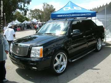 dub Show Images Page 2