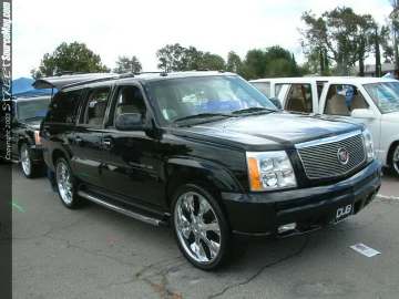 dub Show Images Page 3