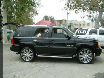 dub Show Images Page 5