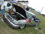 showfest Show Images Page 22